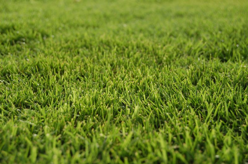 Bermuda Grass Installation in Honolulu, HI