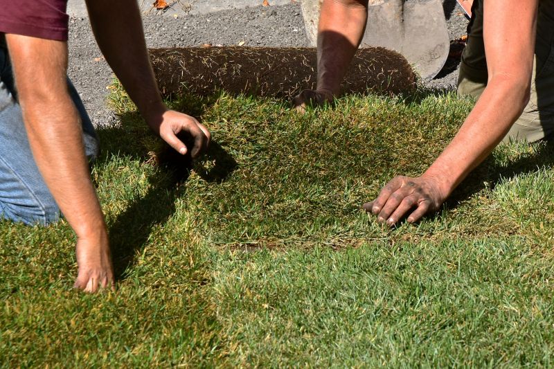 Lawn Sodding in Ventura County, CA