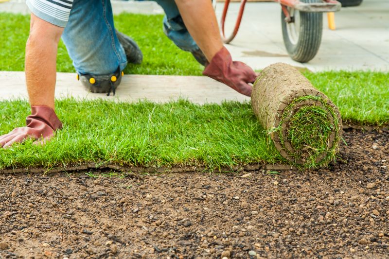 Bahia Sod Installation in Aiken, SC