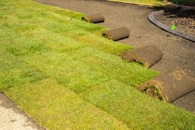 Bentgrass Sod Installation in Honolulu, HI