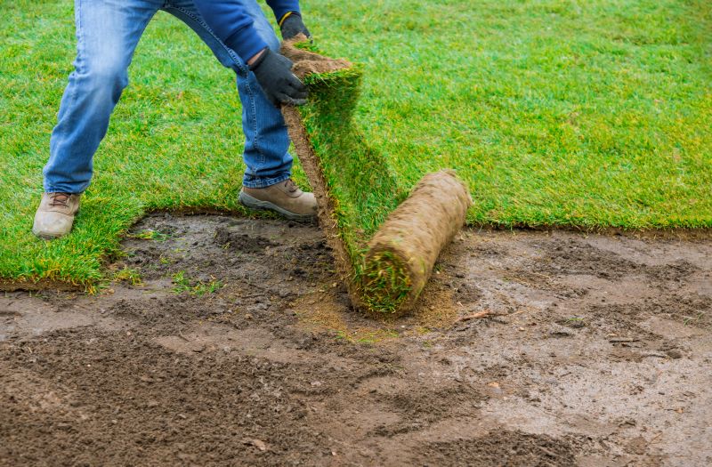 Bluegrass Sod Installation in Rockwall, TX
