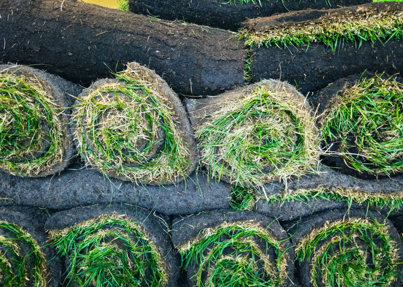 Commercial Sod Installation in Rockwall, TX