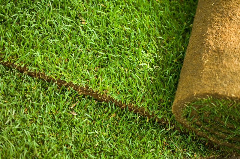 Commercial Sodding in Aiken, SC
