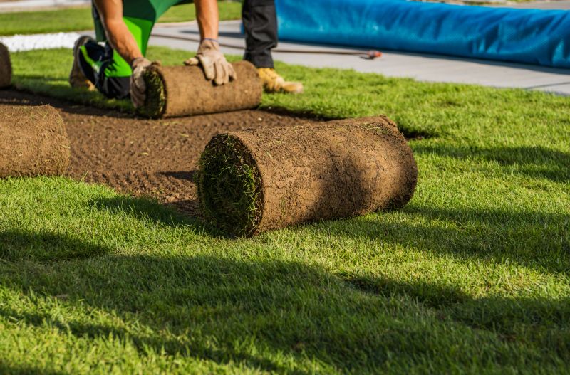 Sod Service