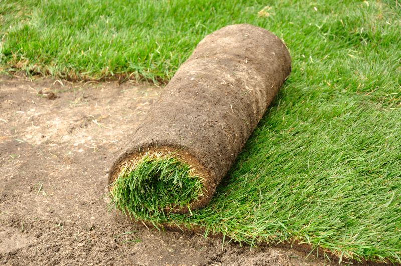 Fescue Sod Installation in Rockwall, TX