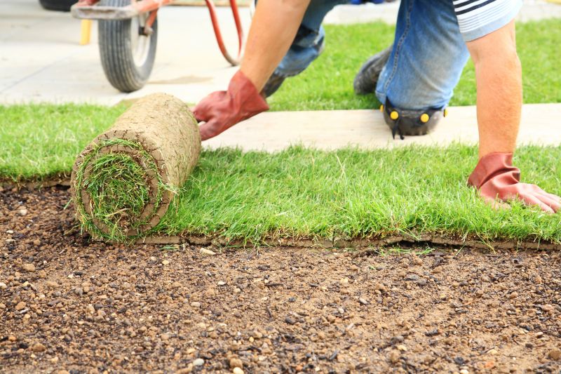 Fescue Sod Installation in Rockwall, TX