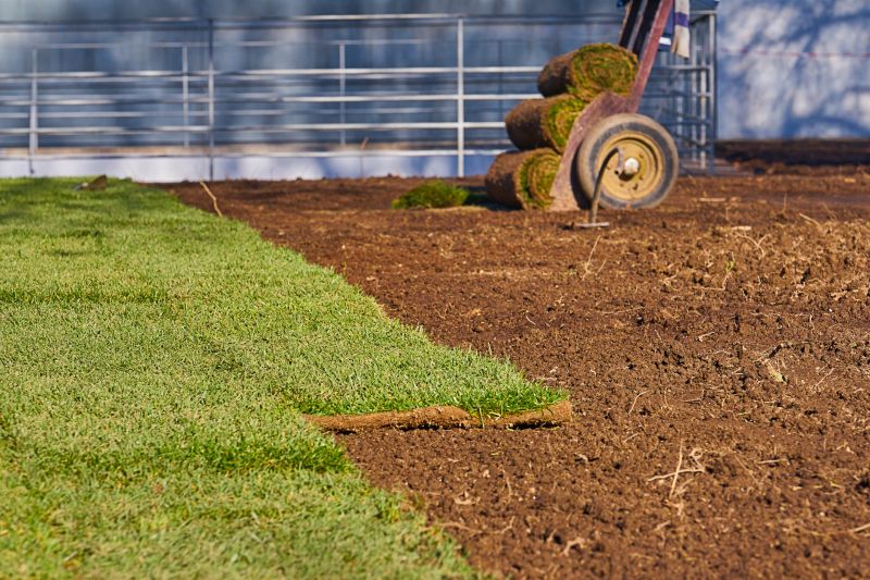 Fescue Sod Installation in Ventura County, CA