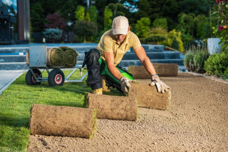 Grass Installation in Aiken, SC