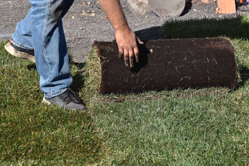 Grass Replacement in Honolulu, HI
