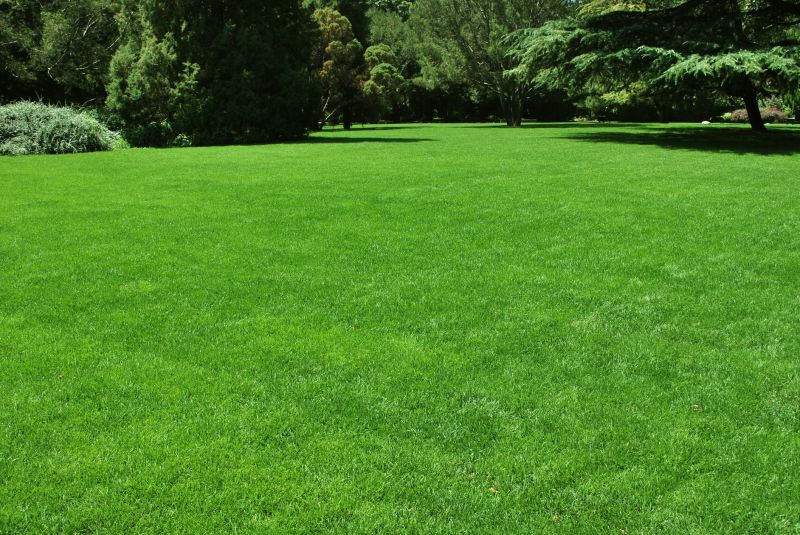 Lawn Installation