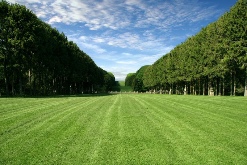 Lawn Installation in Ventura County, CA