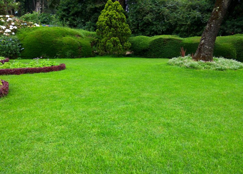 Lawn Replacement in Honolulu, HI
