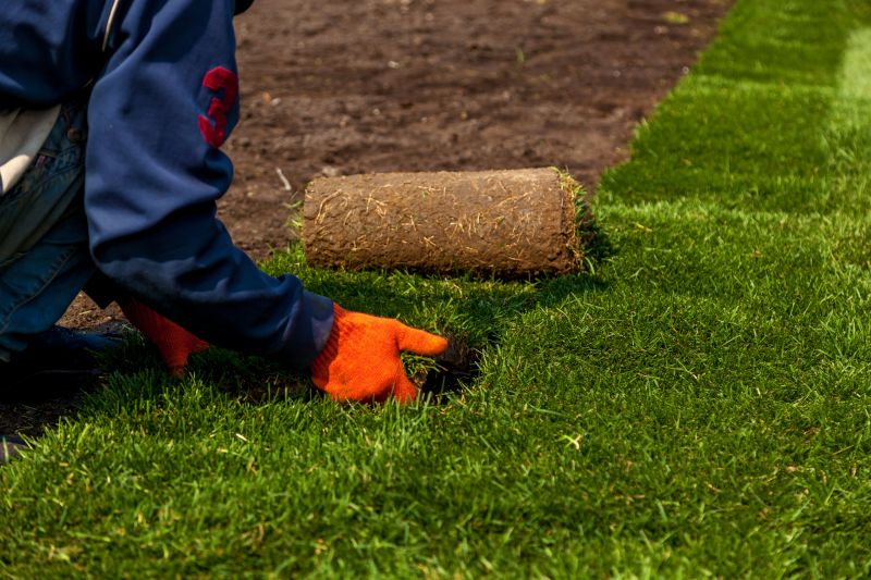 Lawn Sodding in Honolulu, HI
