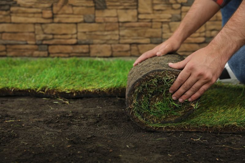 Ryegrass Sod Installation in Honolulu, HI
