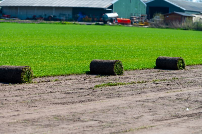 Ryegrass Sod Installation in Ventura County, CA