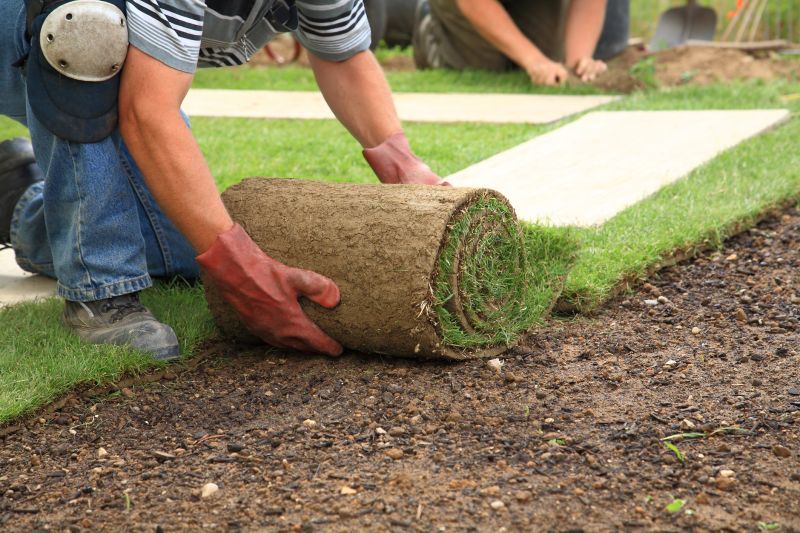 Sod Installation in Honolulu, HI