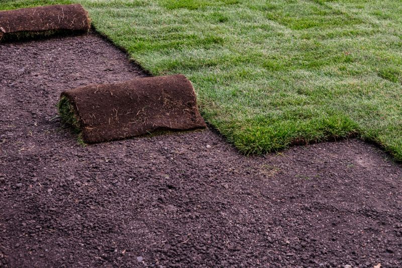 Sod Landscaping in Aiken, SC