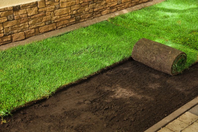 Yard Sod Installation in Rockwall, TX