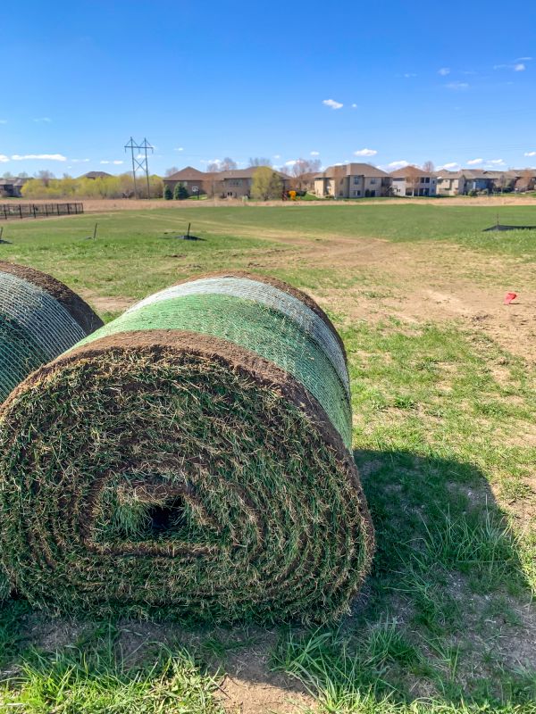 Yard Sod Replacement in Ventura County, CA